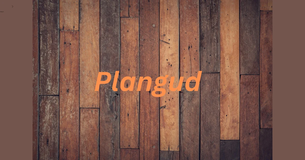 Plangud