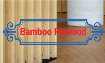 Bamboo Plywood